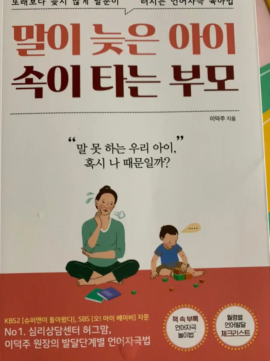 말이늦은 아이 속이 타는 부모 책